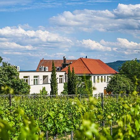 Wirtshaus Leindl Hotel Кремс Екстериор снимка